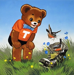 Images Dated 4th September 2006: Teddy Bear