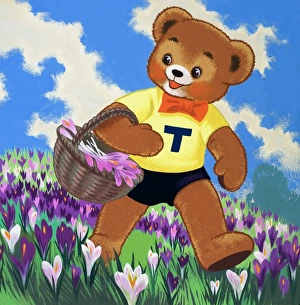 Images Dated 4th September 2006: Teddy Bear