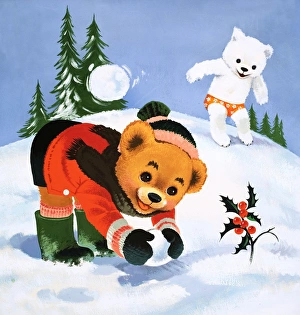 Images Dated 11th June 2007: Teddy Bear