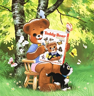 Images Dated 11th June 2007: Teddy Bear