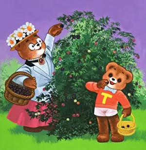 Teddy Bear