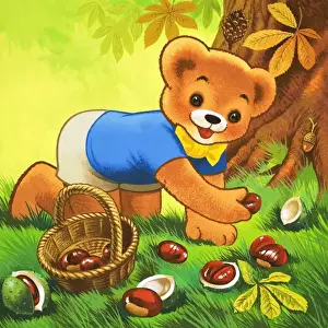 Teddy Bear