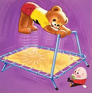 Teddy Bear