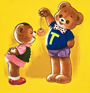 Teddy Bear