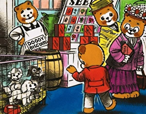 Images Dated 7th June 2007: Teddy Bear