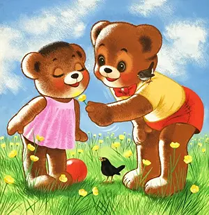 Teddy Bear