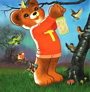 Teddy Bear