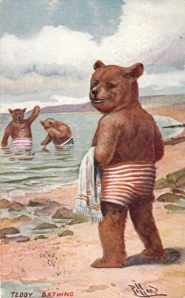Images Dated 2nd November 2015: Teddy bear on the beach