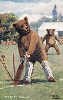 Images Dated 2nd November 2015: Teddy bear playing cricket