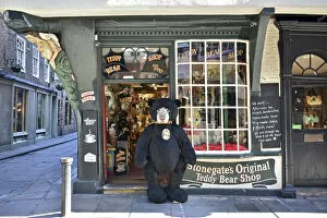 Images Dated 21st September 2019: Teddy Bear Shop, York