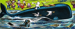 Images Dated 8th November 2007: Teddy Bear on the back of a whale
