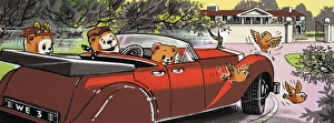 Images Dated 25th July 2006: Teddy bears driving home