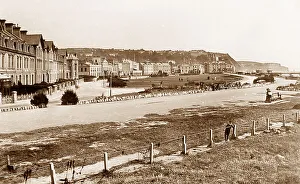 Teignmouth The Den