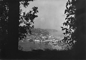 Images Dated 4th July 2011: Teignmouth from Ness