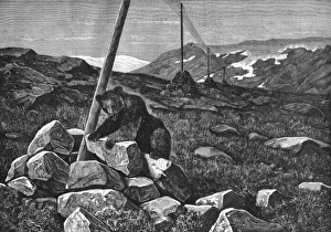 Amid Gallery: Telegraph Wires