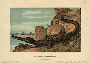 Teleosaurus, extinct crocodilian carnivore