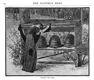 Leave Prints: TELLING THE BEES