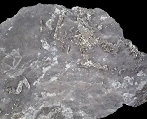 Vein Prints: Tellurium