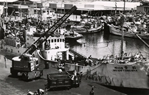 Images Dated 29th September 2016: Tema Fishing Harbour, Ghana, Gold Coast, West Africa