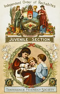 Assurance Prints: Temperance Friendly Society Postcard