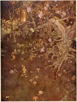 Dulac Prints: The Tempest by William Shakespeare