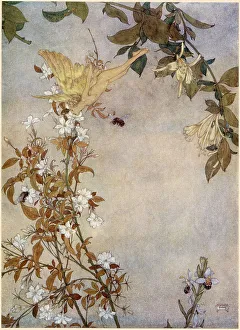Dulac Prints: The Tempest by William Shakespeare