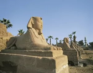 Temple of Amon - Ra. EGYPT. QUENA. Luxor. Thebes
