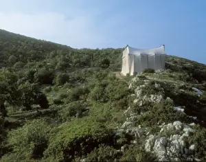 Arcadia Prints: Temple of Apollo Epikourios at Bassae. 450 BC