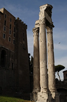 Images Dated 3rd April 2009: Temple of Concord. Roman Forum. Rome. Italy