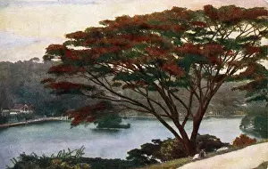 Kandy Prints: Temple of the Holy Tooth, Kandy