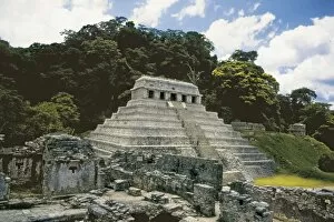 Palenque Collection: Temple of the Inscriptions. MEXICO. CHIAPAS