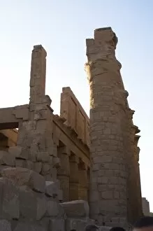 Amon Gallery: Temple of Karnak. The Great Temple of Amon. Hypostyle hall