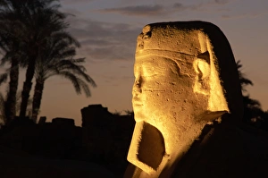 Images Dated 26th November 2003: Temple of Luxor. Avenue of the Sphinxes. Detail