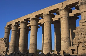 Images Dated 26th November 2003: Temple of Luxor. Colonnade with two rows of seven smooth sha