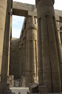 Temple of Luxor. Columns