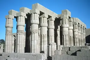 Temple of Luxor / Columns
