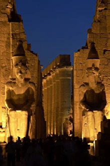 Images Dated 26th November 2003: Temple of Luxor. Night view of the colossi of Ramses II