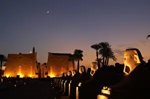 Images Dated 26th November 2003: Temple of Luxor. Night view of the monumental entrance