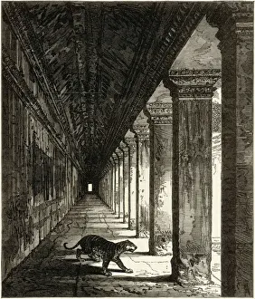 The Temple of Ongou Wat