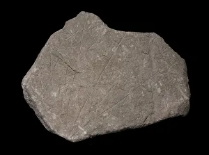 Incision Prints: Temple Period (4000 to 2500 BC). Malta. Broken