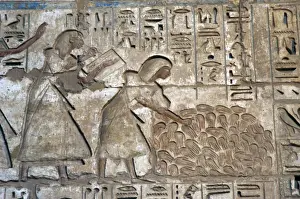 Counting Prints: Temple of Ramses III. Officials counting the severed hands o