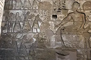Counting Prints: Temple of Ramses III. Officials before Ramses III, who wears