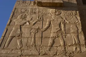 Solar Prints: Temple of Ramses III. Relief depicting Ramses III making off