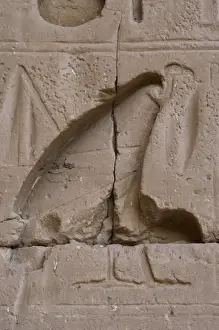 Vulture Prints: Temple of Ramses III. Vulture