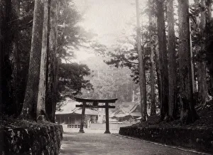 Nikko Prints: Temple and torii at Nikko, Japan