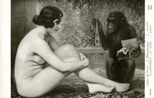 Monkey Gallery: Temptation by Stanislas Martougen (1873-?)