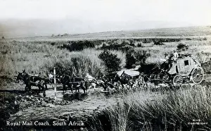Fords Prints: Ten-horse Royal Mail Coach fording a stream - South Africa