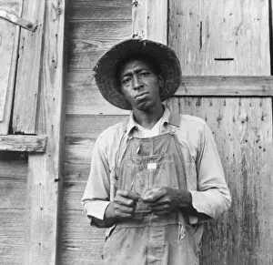 Tenant Prints: Tenant farmer. Chatham County, North Carolina