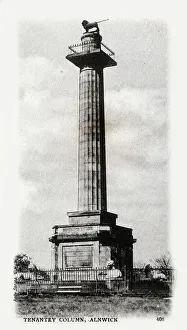 Landowner Prints: Tenantry Column, Alnwick, Northumberland