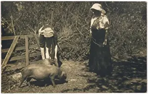 Tending Prints: Tending Pigs, 1900